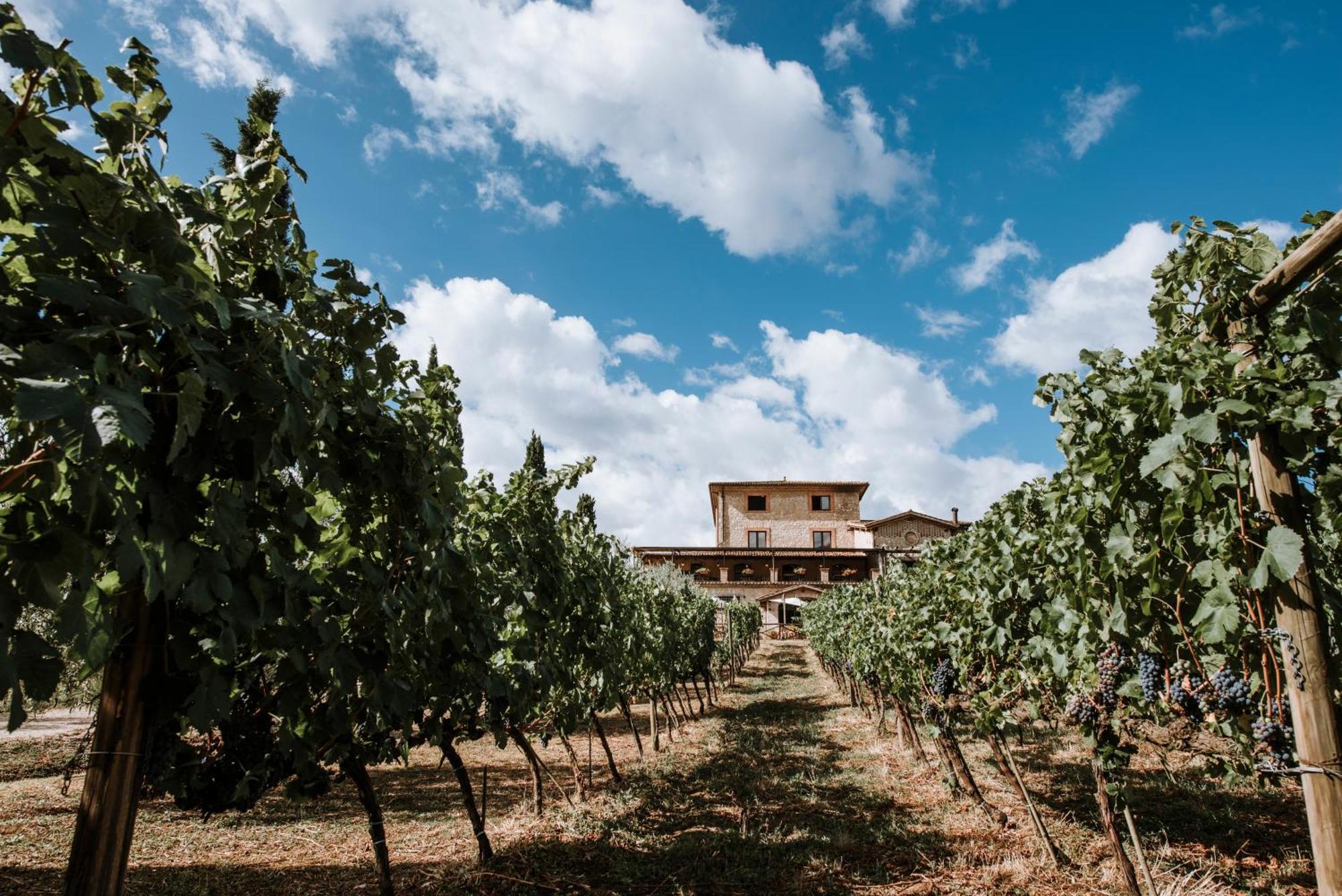 Casale Verdeluna Wine Resort Piglio Eksteriør billede
